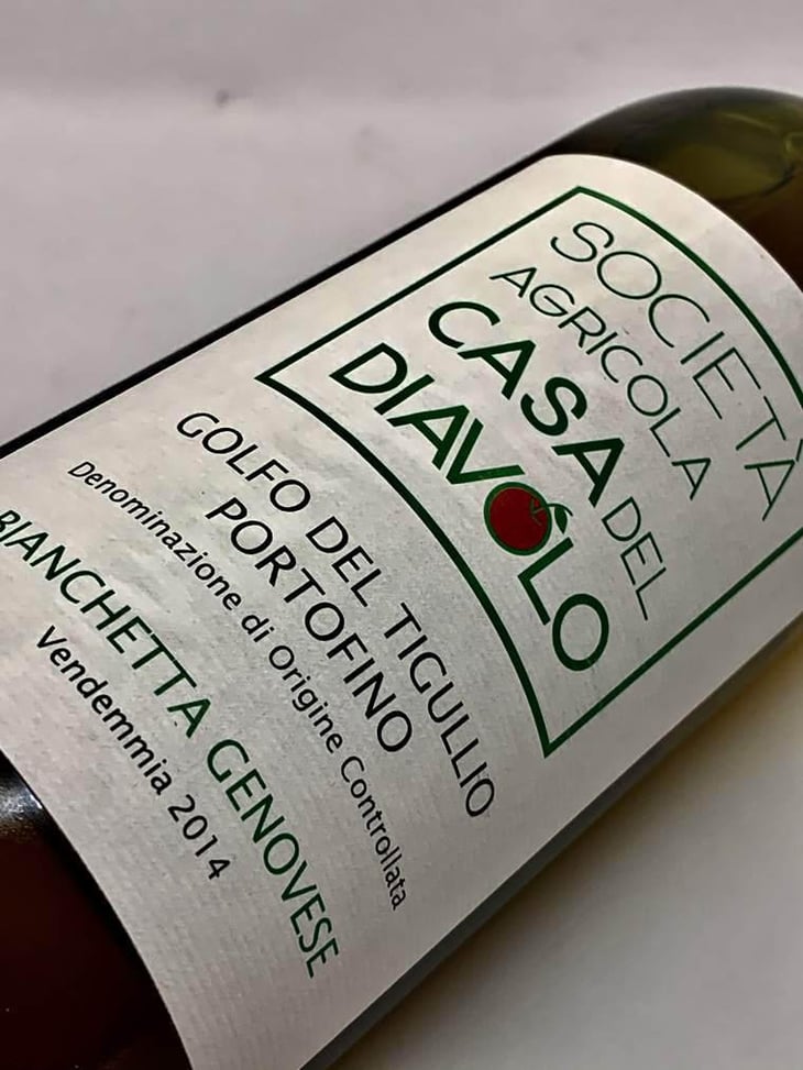 Bianchetta Genovese - Societa Agricolà Casa Del Diavolo - Federica Sala -2014