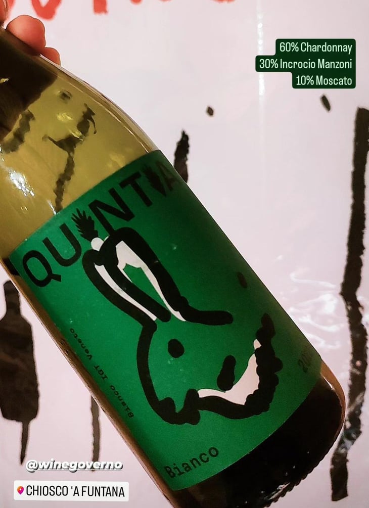 Bianco - Azienda vitivinivola Quintia - Azienda vitivinivola Quintia 