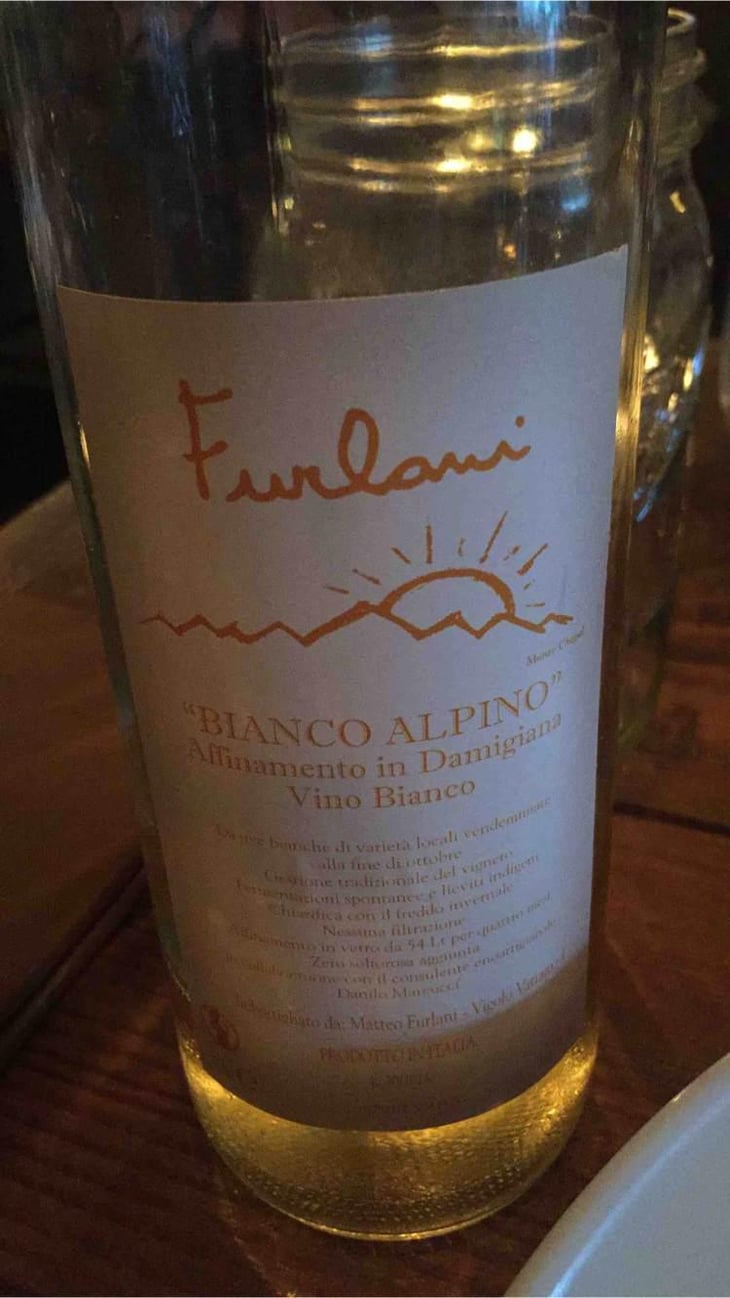 Macerato - Cantina Furlani - Matteo Furlani 
