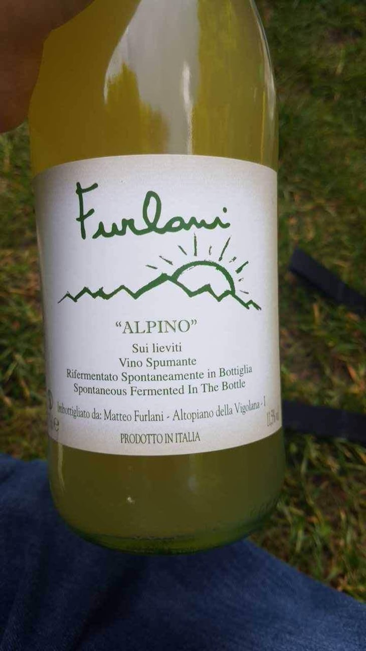 Macerato - Cantina Furlani - Matteo Furlani 
