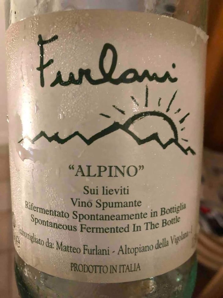 Macerato - Cantina Furlani - Matteo Furlani 