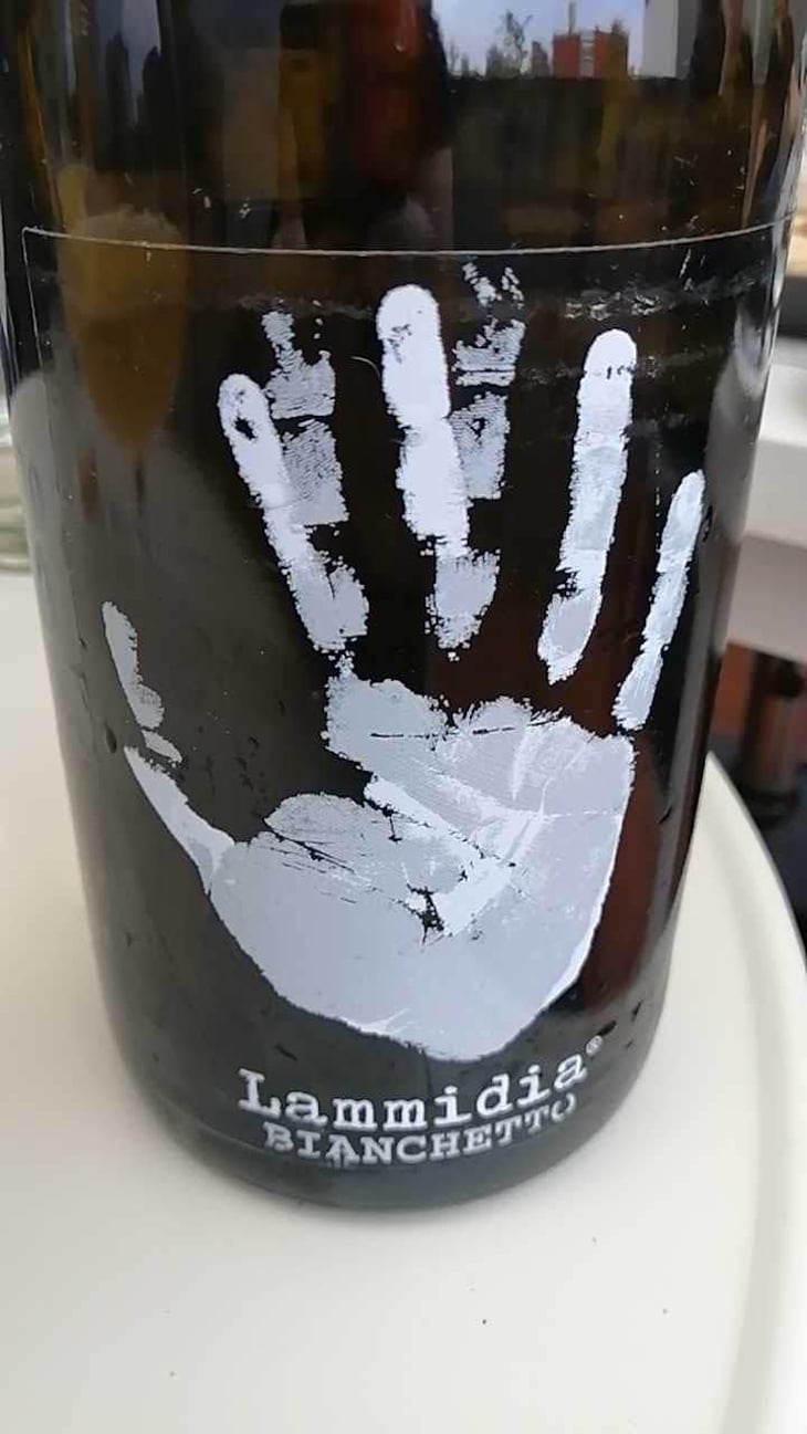 Bianco Anfora - Lammidia - Marco Giuliani & Davide Gentile 