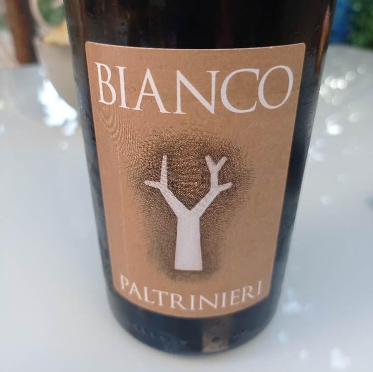 Bianco - Cantina Paltrinieri - Barbara & Alberto Paltrinieri 