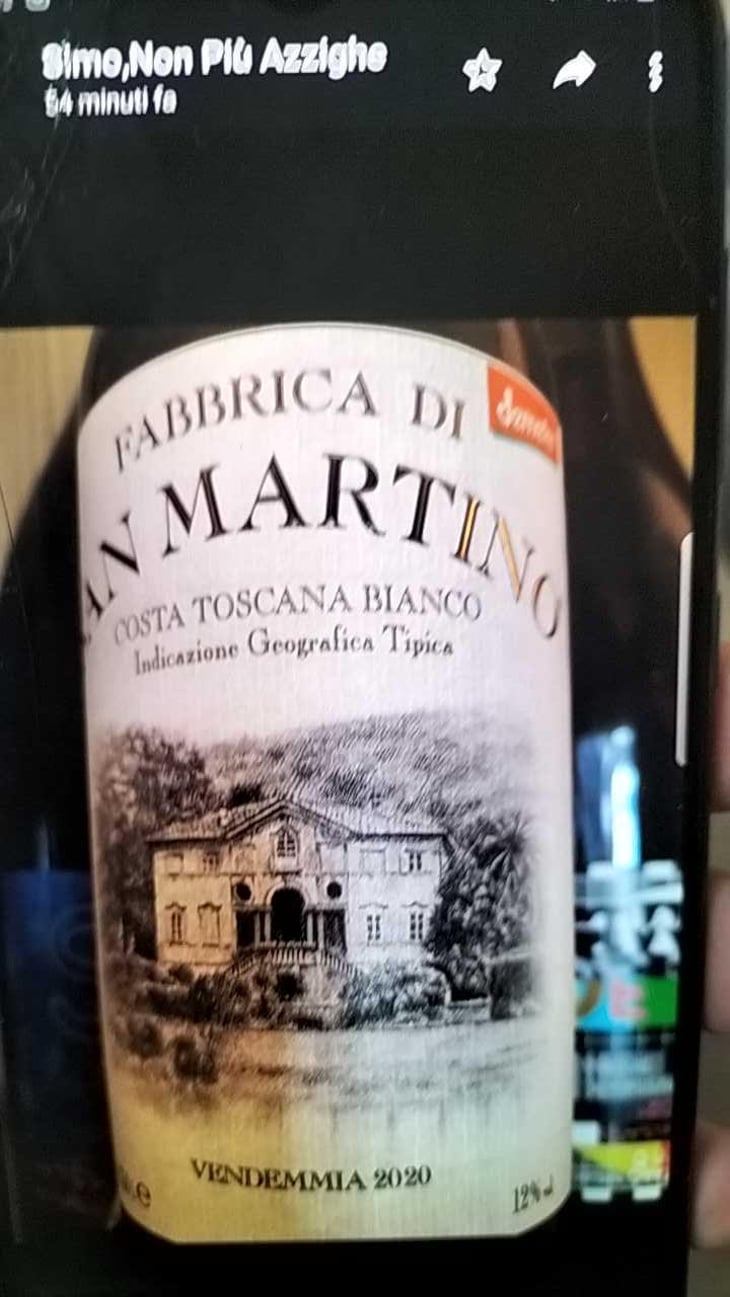 Fabbrica di San Martino Bianco - Fabbrica di San Martino - Giuseppe Ferrua 