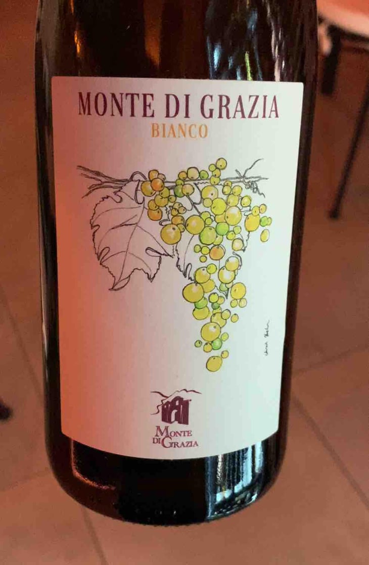 Bianco - Monte di Grazia - Alfonso Arpino 