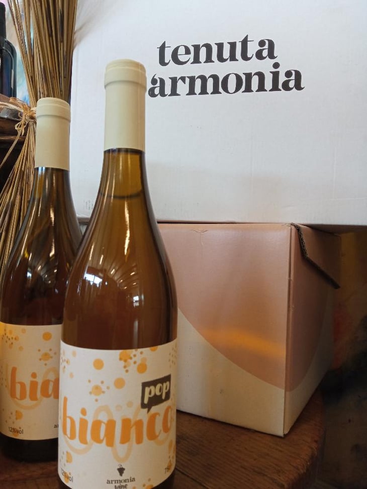 Bianco Pop - Tenuta l'Armonia - Andrea Pendin 