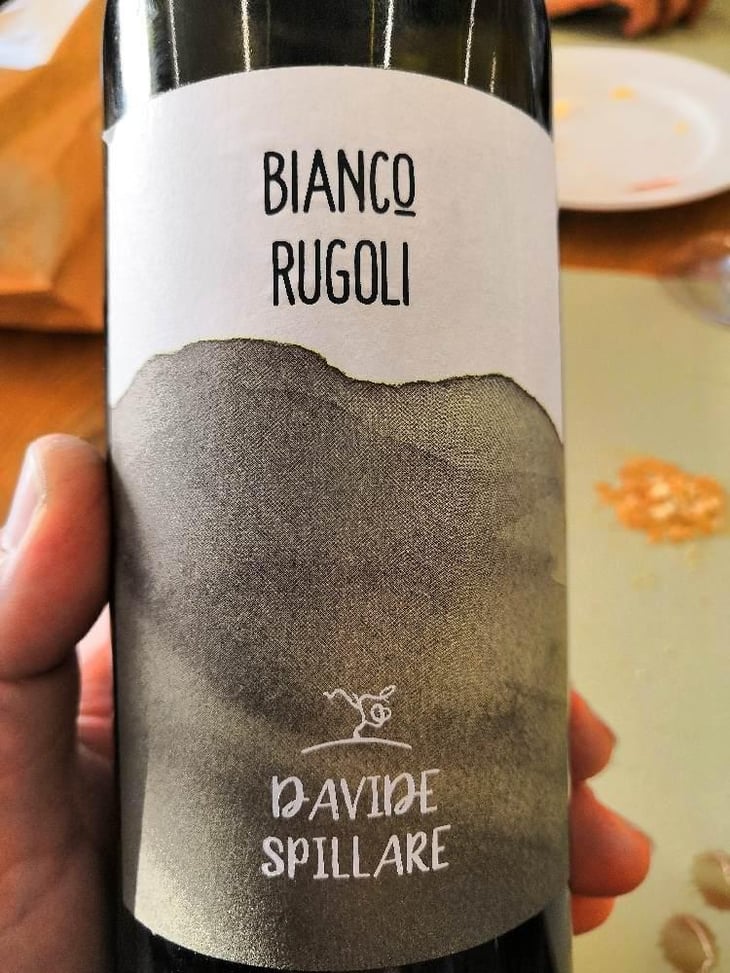 Bianco Rugoli - Azienda Agricola Davide Spillare - Davide Spillare 