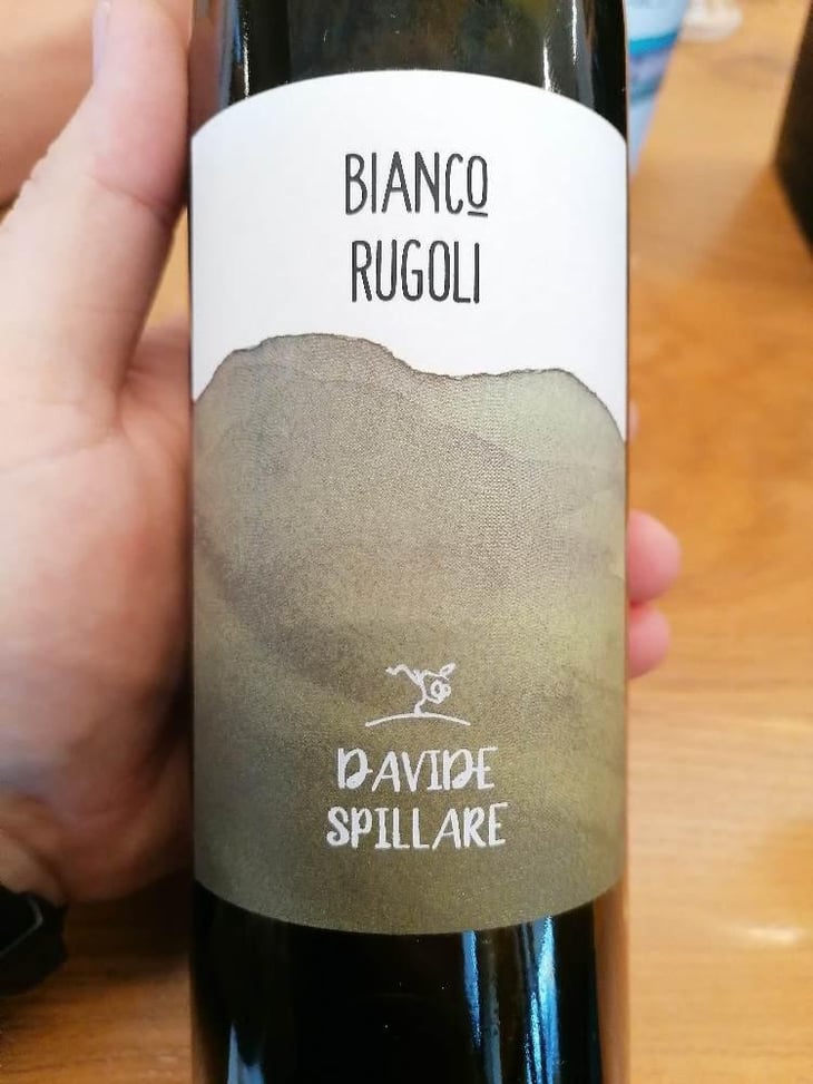 Bianco Rugoli - Azienda Agricola Davide Spillare - Davide Spillare 