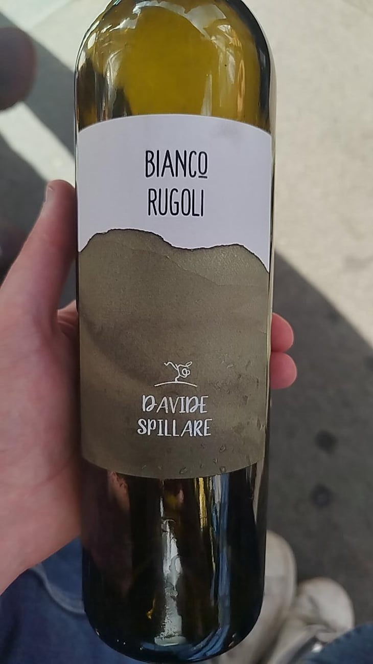 Bianco Rugoli - Azienda Agricola Davide Spillare - Davide Spillare 