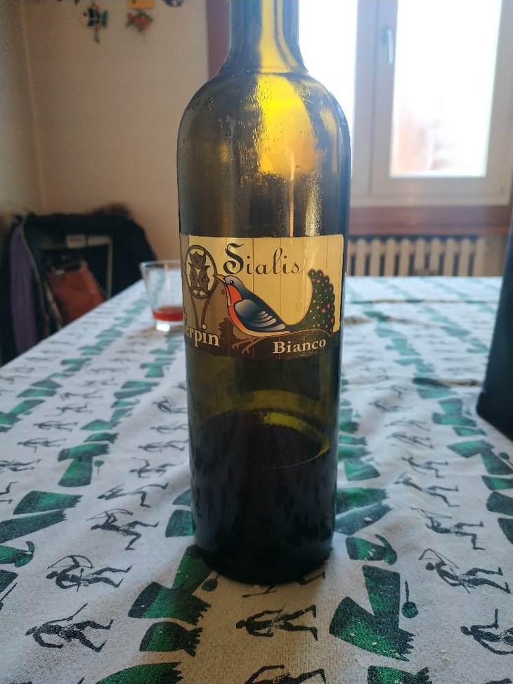 Sialis Grigio - Azienda Agricola Franco Terpin - Franco Terpin 