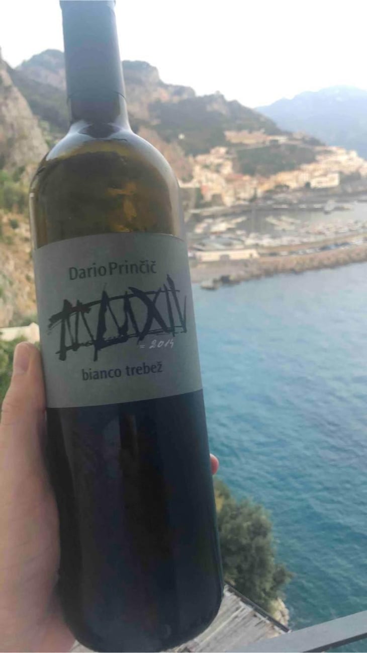 Bianco Trebež - Dario Prinčič - Dario Prinčič 