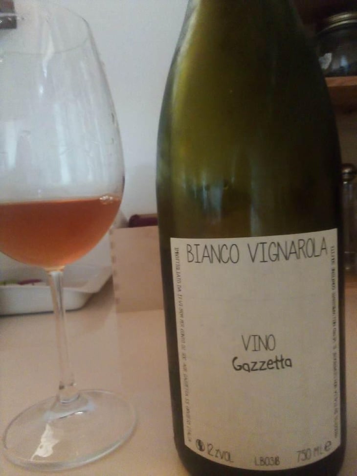 Bianco Vignarola - Gazzetta Wines - Patricia Nelson 
