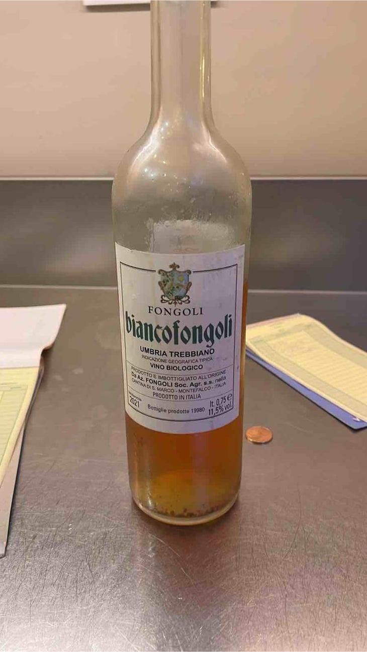 Biancofongoli - Fongoli - Angelo Fongoli 