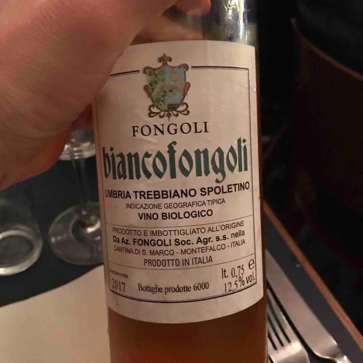 Biancofongoli - Fongoli - Angelo Fongoli 