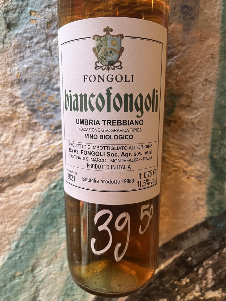 Biancofongoli - Fongoli - Angelo Fongoli 