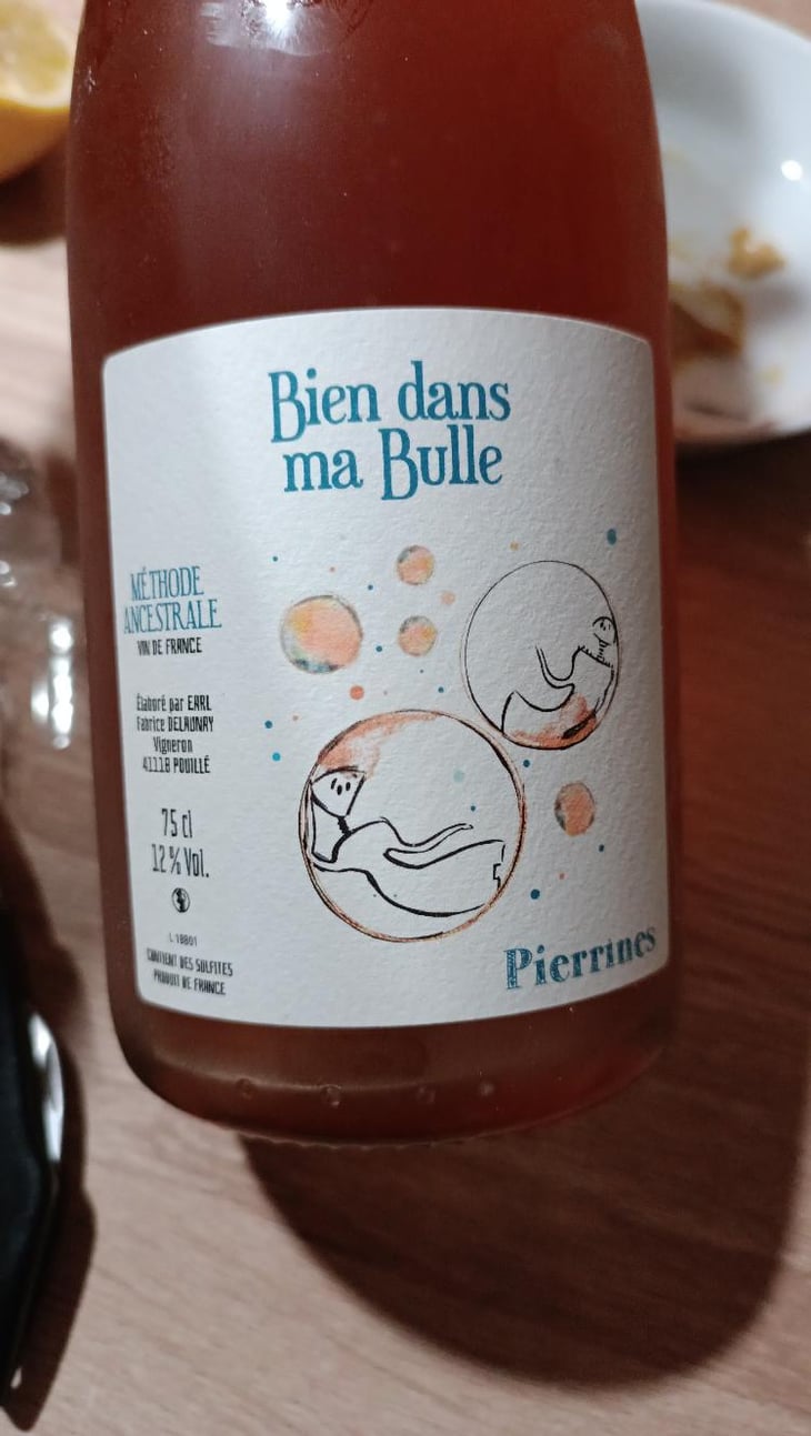 Bien dans la bulle - Domaine des Pierrines - Fabrice Delaunay -2023