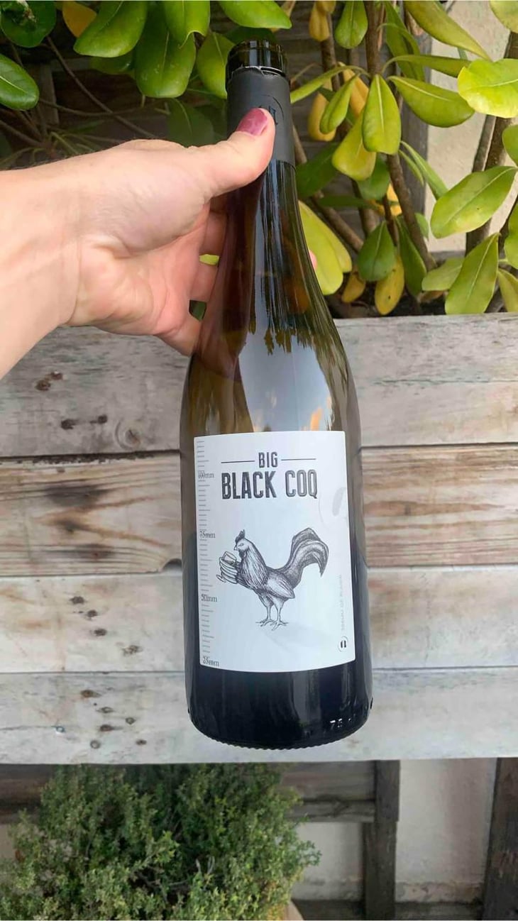 Big Black Coq - Domaine des Amiel - Aymeric & Jordan Amiel 