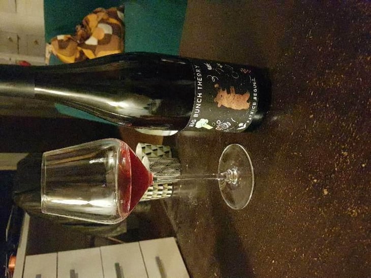 Big Bunch Theory (Rouge) - Domaine Hughes-Beguet - Caroline & Patrice Hughes Béguet 