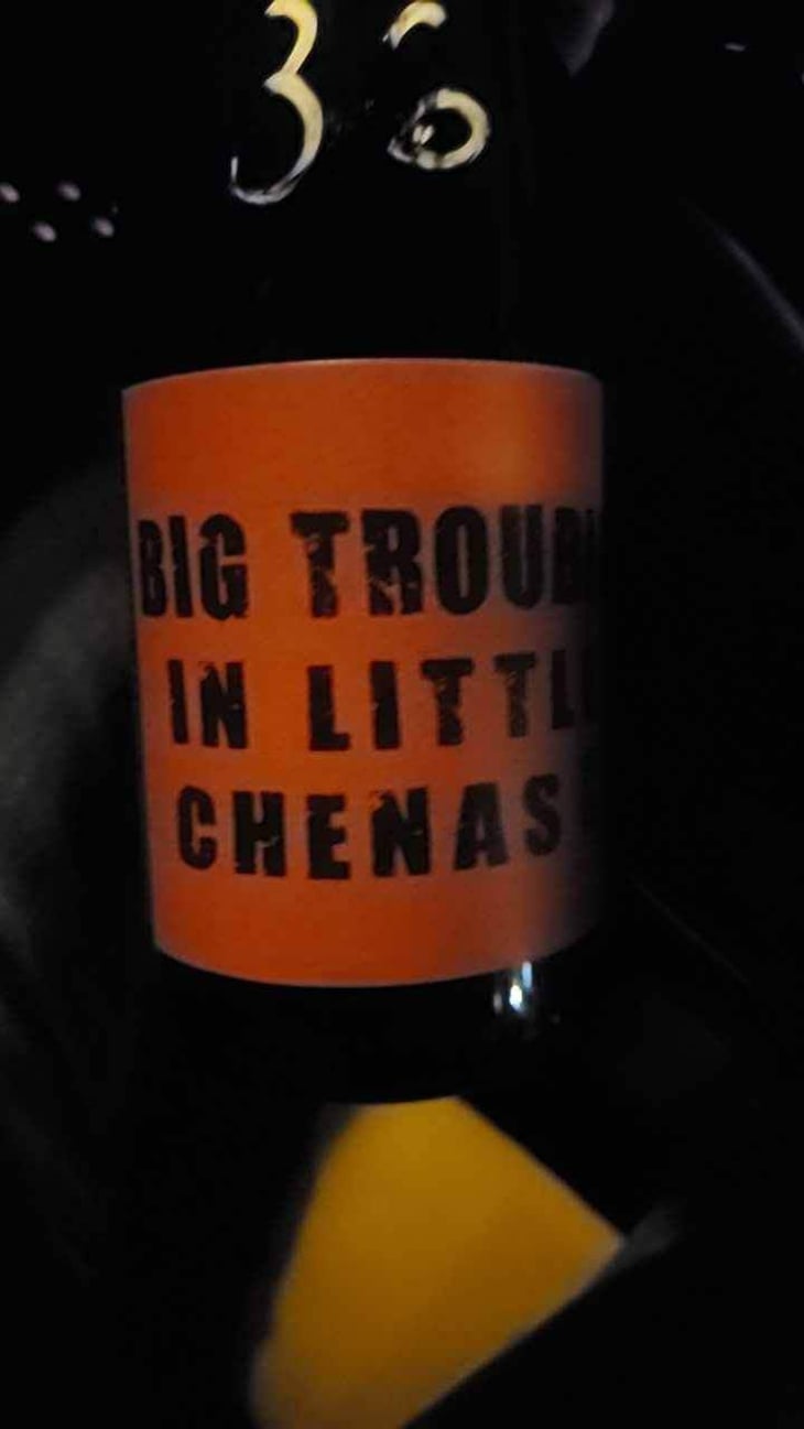 Big Trouble In Little Chenas - Clos des Vignes du Maynes - Julien Guillot 