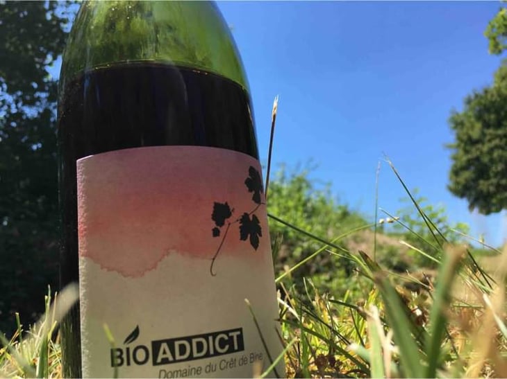 Bio Addict - Domaine Du Crêt De Bine - Geoffroy Subrin & Florence Subrin Dodille 