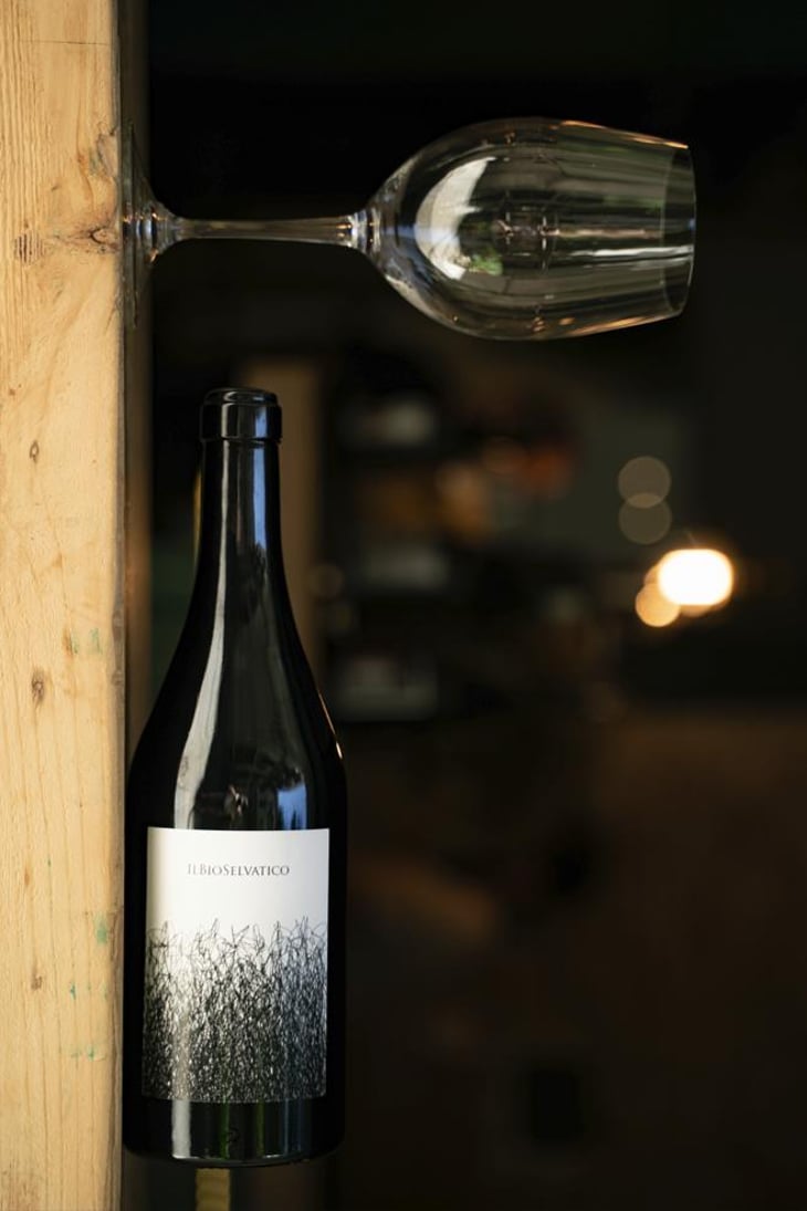 Bioselvatico Sangiovese - Bioselvatico di Filippo Volpi - Filippo Volpi -2019