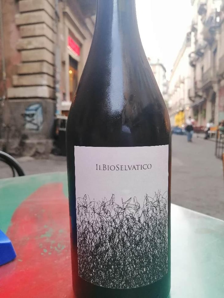 Bioselvatico Sangiovese - Bioselvatico di Filippo Volpi - Filippo Volpi -2019
