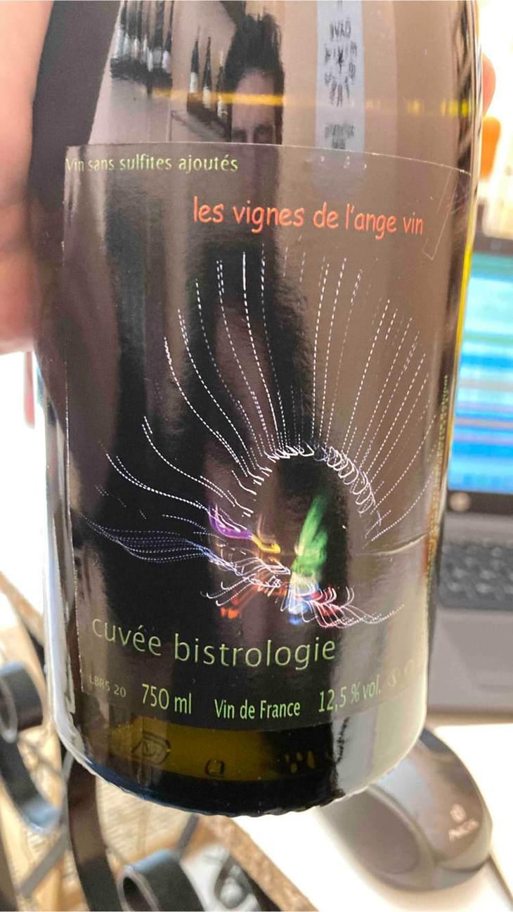 Bistrologie - Les Vignes de l'Angevin - Jean-Pierre Robinot 
