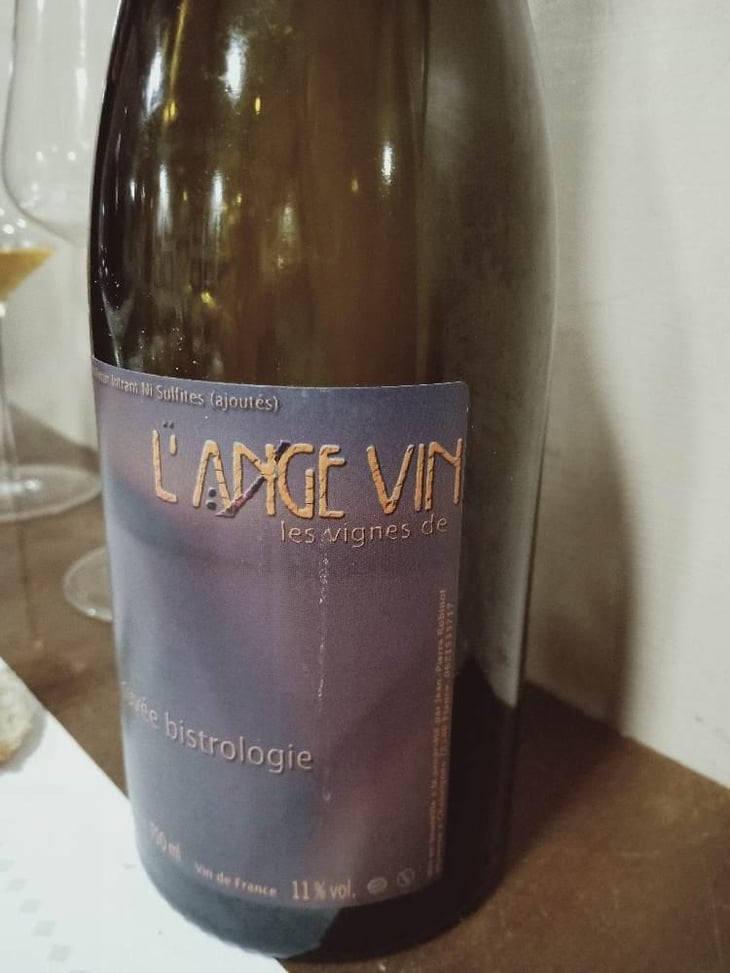 Bistrologie - Les Vignes de l'Angevin - Jean-Pierre Robinot 
