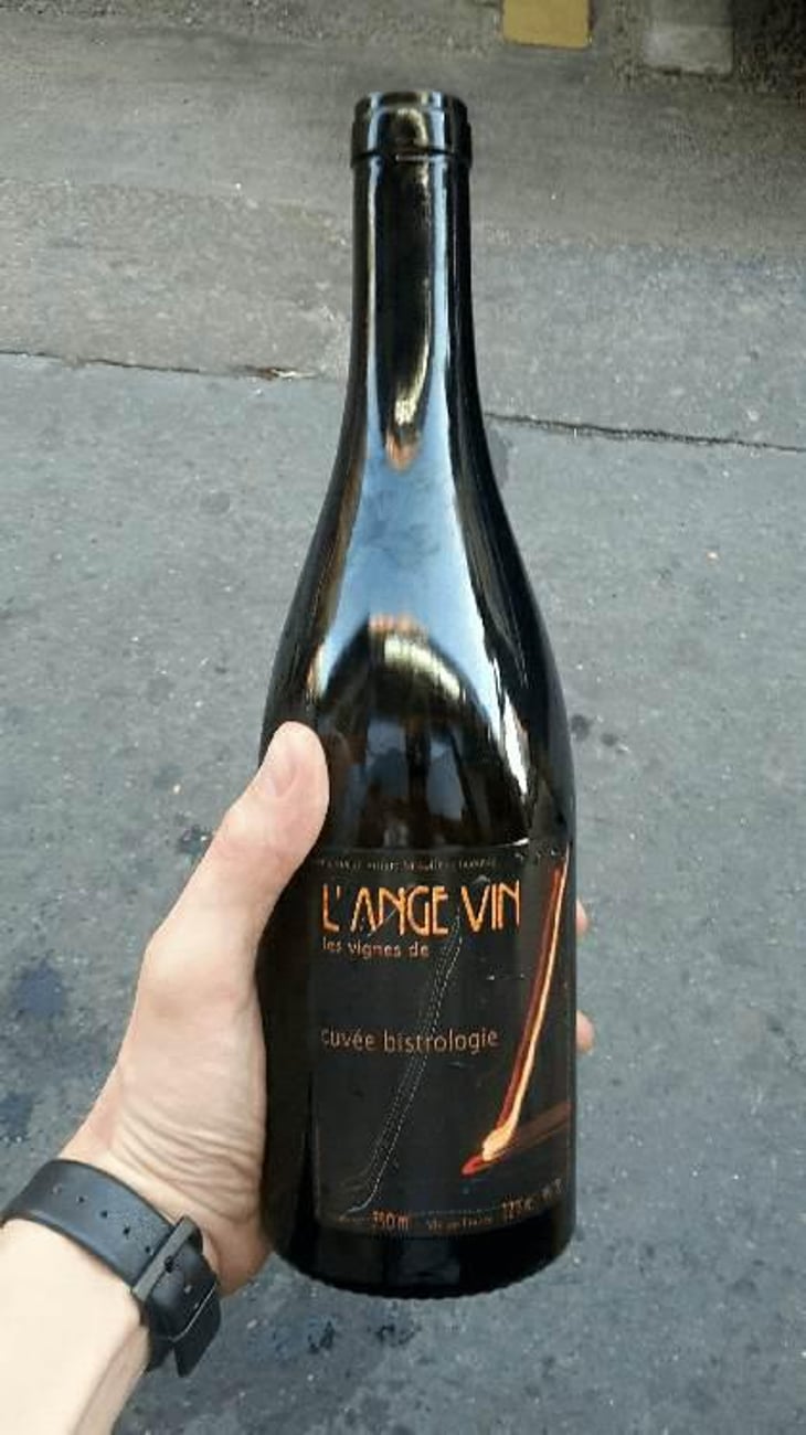 Bistrologie - Les Vignes de l'Angevin - Jean-Pierre Robinot 