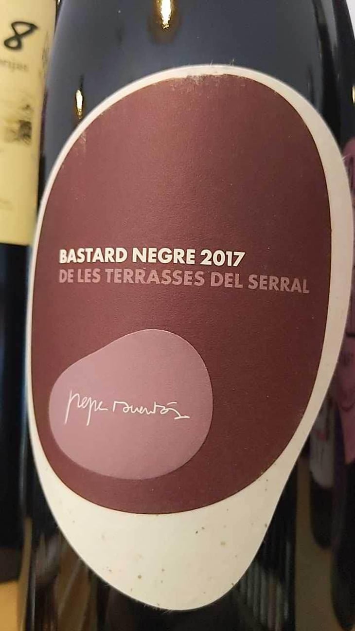 Bastard Negre de les Terrasses del Serral - Vins Pepe Raventós - Pepe Raventós 