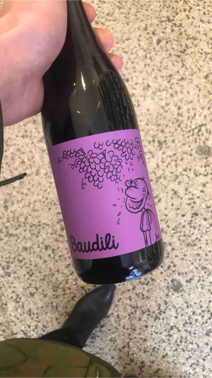 Baudili Negre - Ramon Jané Viticultor - Ramón Jané 