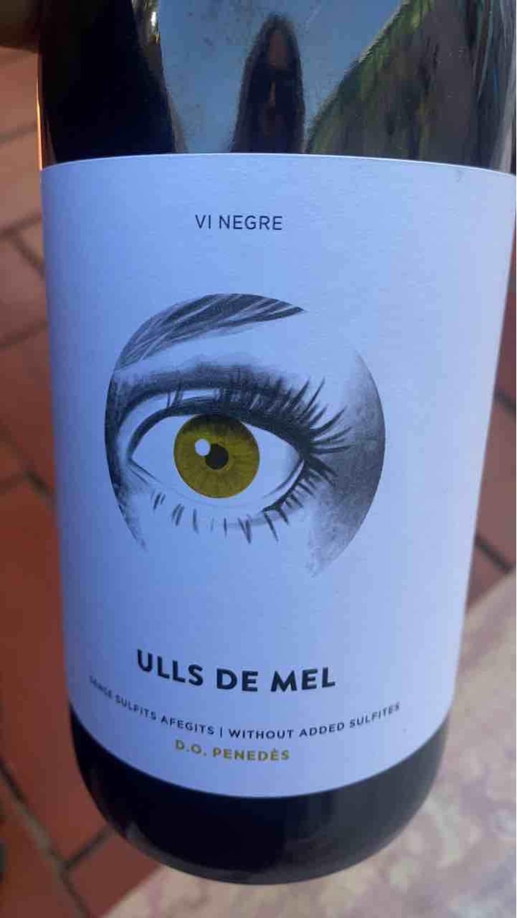 Ulls De Mel Negre - Els Vinyerons / Sin Project - Amós Bañeres Merinero & Alex Ruiz Masachs 