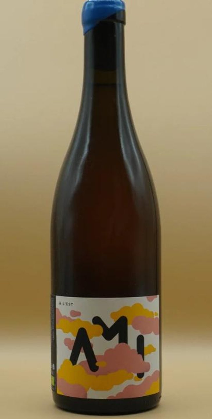 A l'Est - Domaine Ami - Paul Marchand-Perarnau & Willy Roulendes -2021