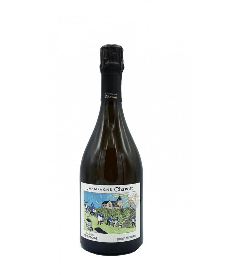 Blanc d'Assemblage - Champagne Chavost - Fabian Daviaux 
