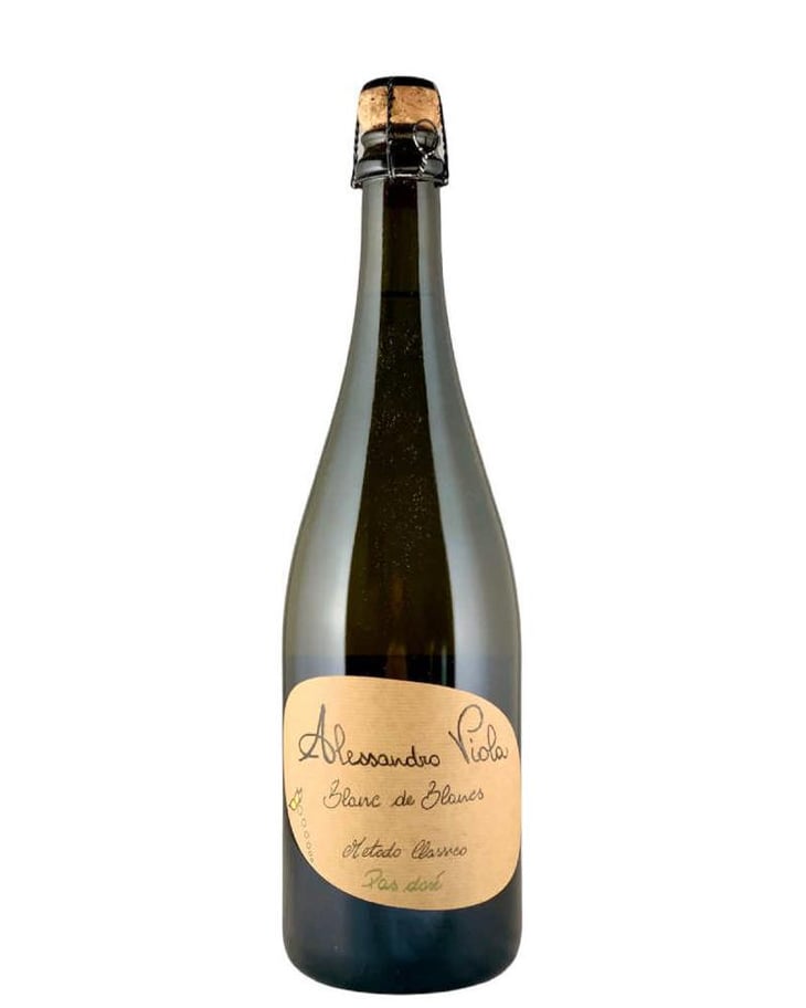 Blanc de Blancs - Azienda Agricola Alessandro Viola - Alessandro Viola 