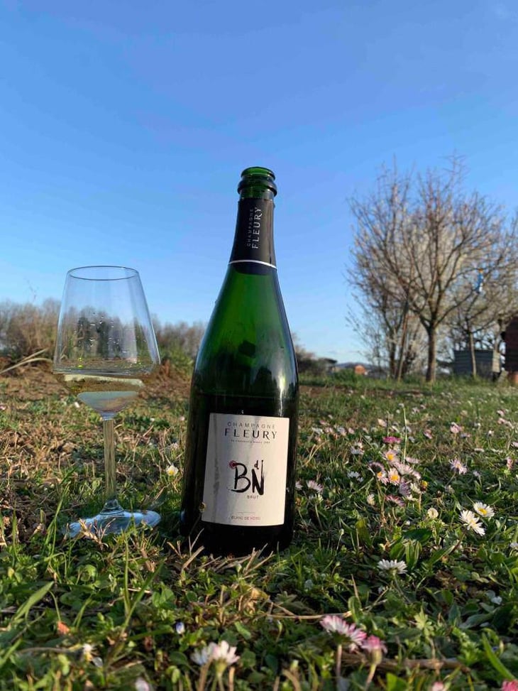 Blanc de Noirs Brut - Champagne Fleury - Morgane, Jean-Sébastien & Benoit Fleury 