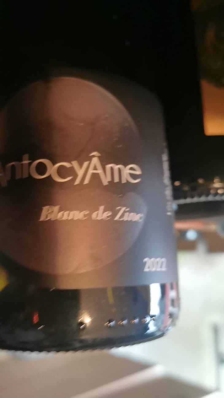 Blanc de Zinc - AntocyÂme - Muriel Zoldan 