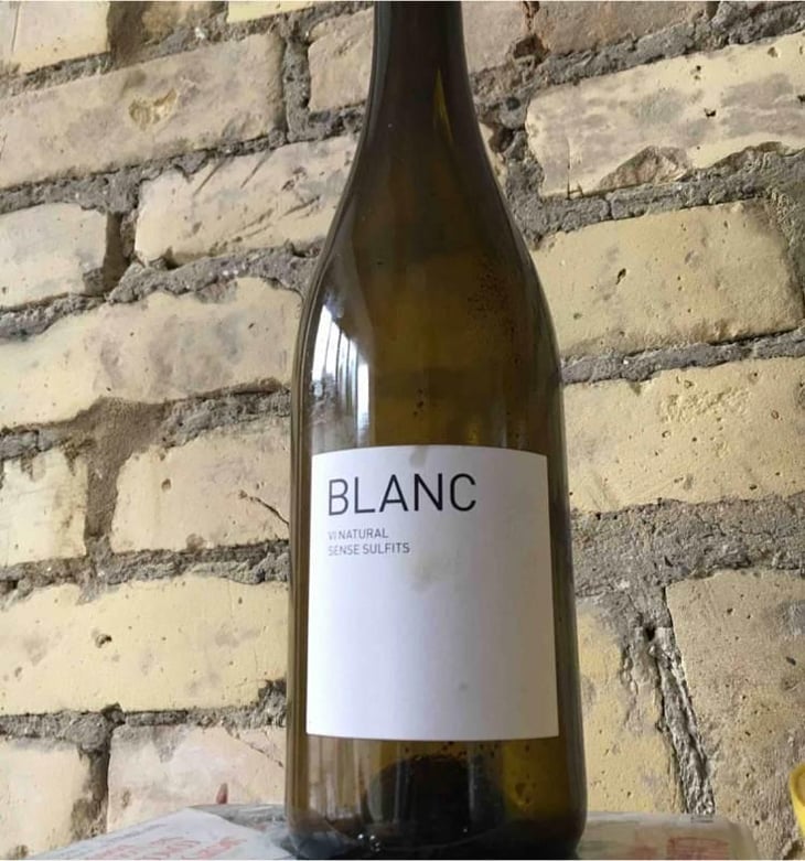 Blanc - Moises Virgili i Rovira - Moisès Virgili 