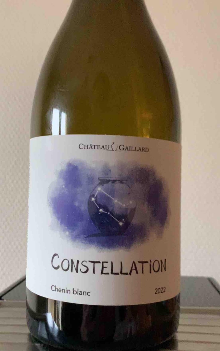 Constellation - Château Gaillard - Emmanuel Bienvenu -2022