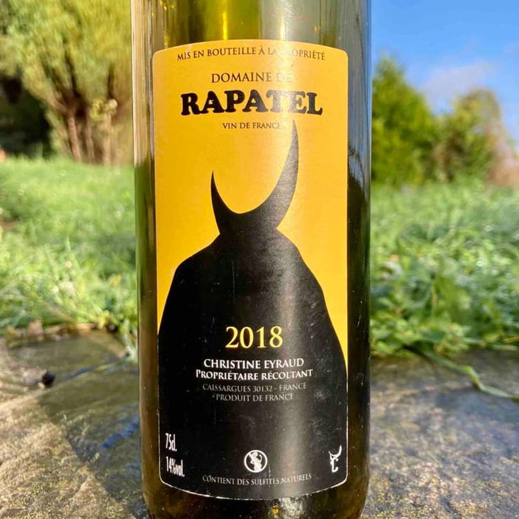 Blanc 2018 - Domaine de Rapatel - Gérard Eyraud -2018