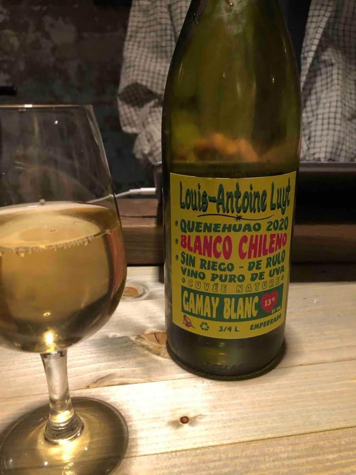 Gamay Blanc - Agricola Luyt - Louis-Antoine Luyt -2020