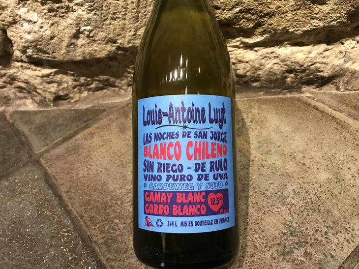 Gamay Blanc - Agricola Luyt - Louis-Antoine Luyt -2020