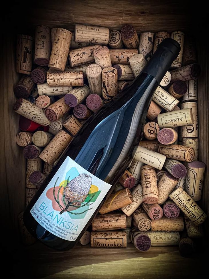 Blanksia - Domaine des Sonnettes - Sonshine Vins - Edouard Gouyette & Lisanne van Son 