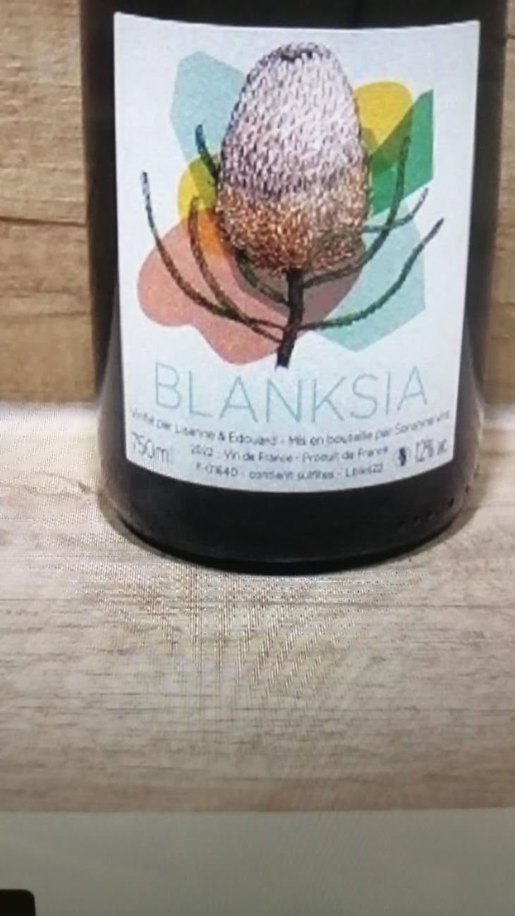 Blanksia - Domaine des Sonnettes - Sonshine Vins - Edouard Gouyette & Lisanne van Son 