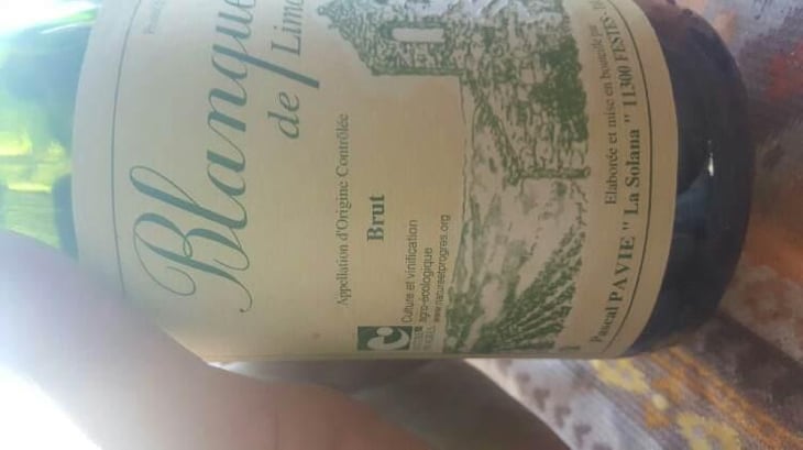 Blanquette de Limoux Brut - Pascal Pavie - Pascal Pavie 