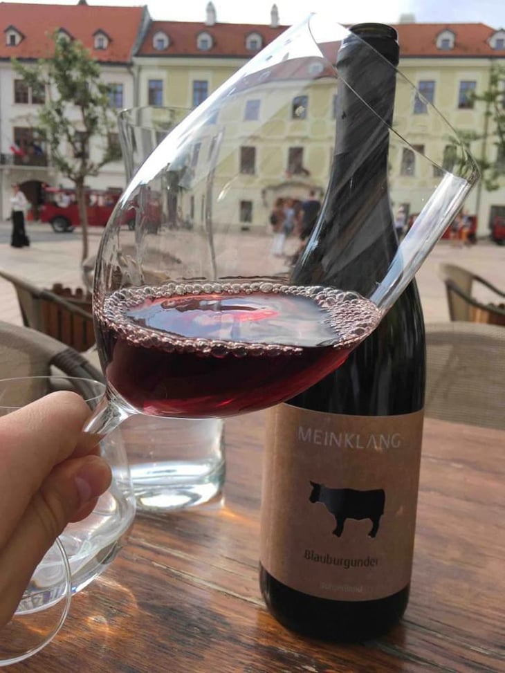 Blauburgunder - Meinklang - Weingut Michlits - Angela & Werner Michlits 