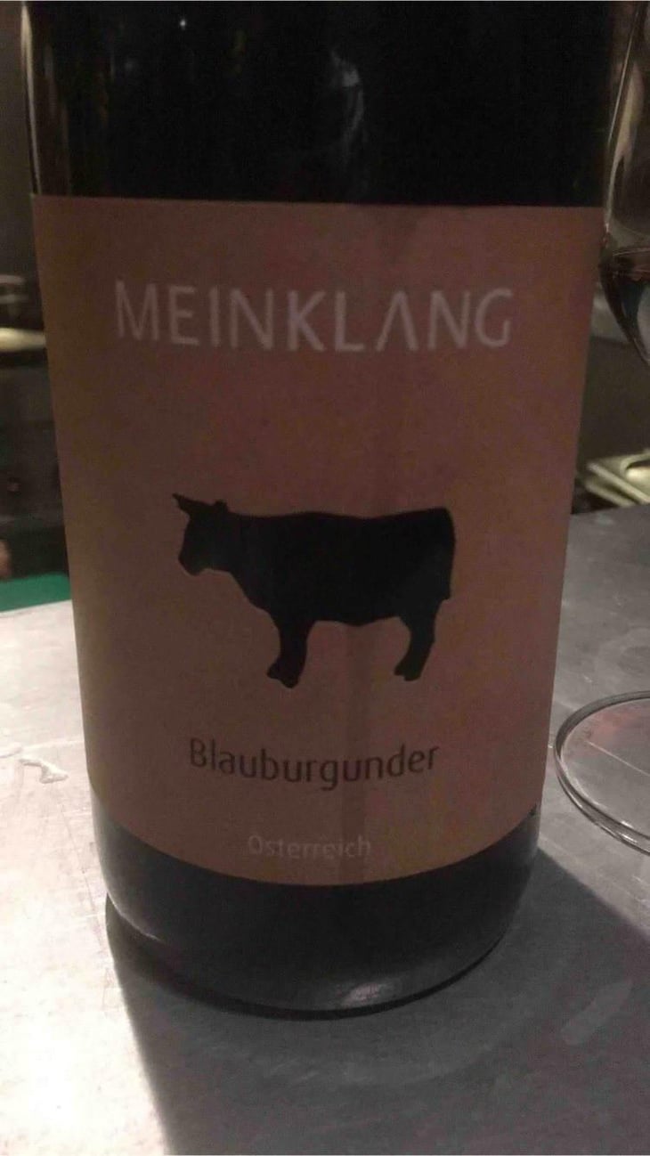 Blauburgunder - Meinklang - Weingut Michlits - Angela & Werner Michlits 