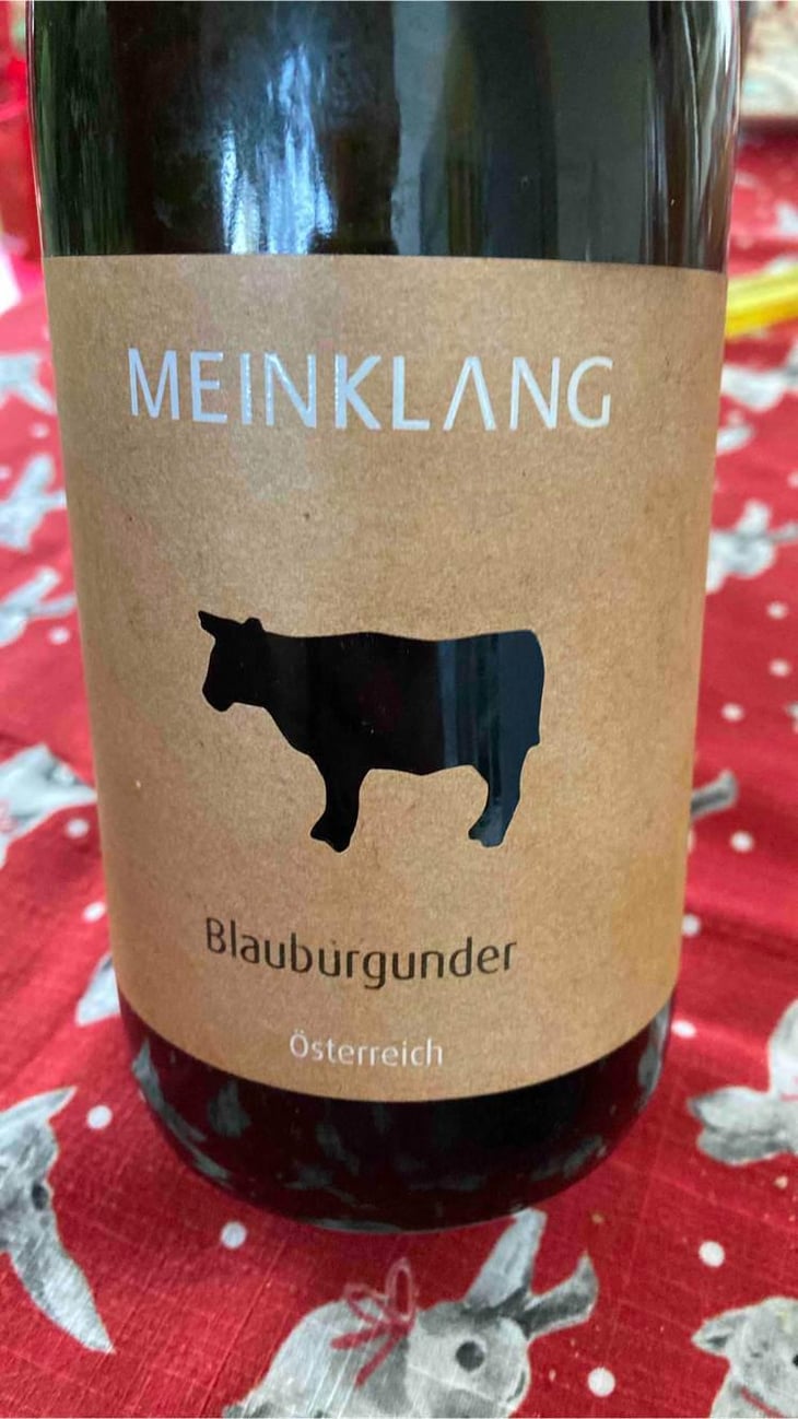 Blauburgunder - Meinklang - Weingut Michlits - Angela & Werner Michlits 