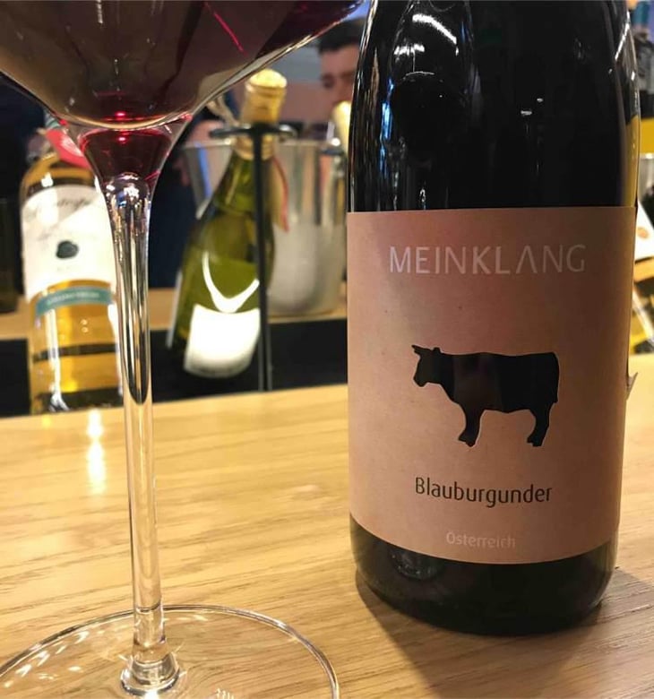 Blauburgunder - Meinklang - Weingut Michlits - Angela & Werner Michlits 