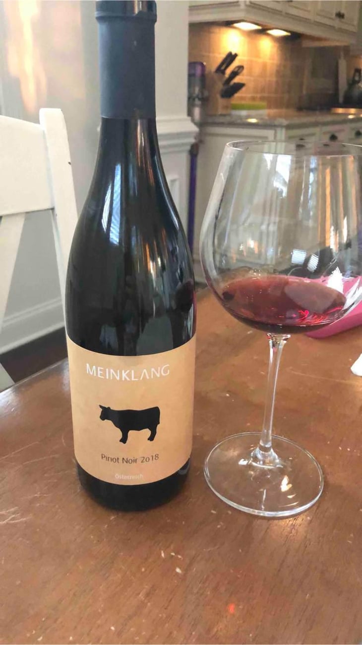 Blauburgunder - Meinklang - Weingut Michlits - Angela & Werner Michlits 